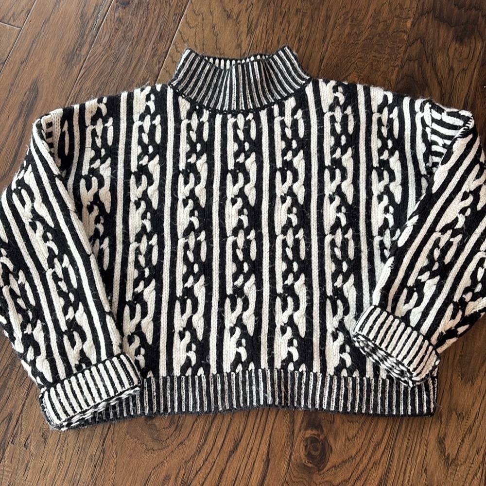 Express cable knit mock neck sweater